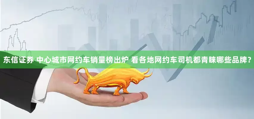 东信证券 中心城市网约车销量榜出炉 看各地网约车司机都青睐哪些品牌？