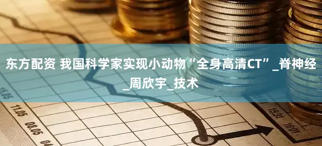东方配资 我国科学家实现小动物“全身高清CT”_脊神经_周欣宇_技术