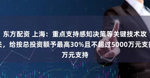 东方配资 上海：重点支持感知决策等关键技术攻关，给按总投资额予最高30%且不超过5000万元支持